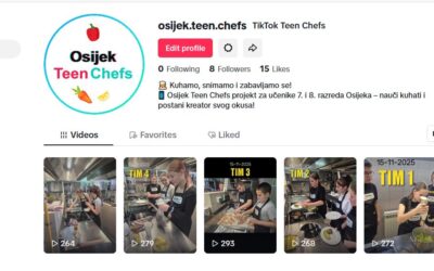 TikTok Teen Chefs