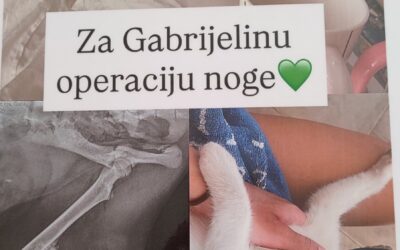 Dobra djela